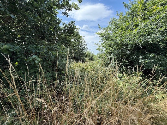 Harrow Site Clearance
